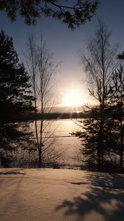 Winter evening landscape. Sunset, field in snow and forest Video stock 294208270