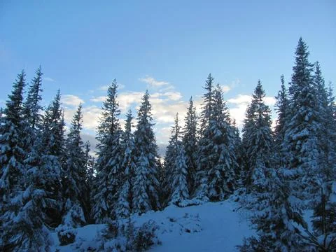 Winter evening in the mountains Stock Photos