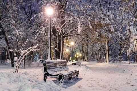 Winter evening in the park Stock Photos