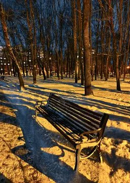 In the winter evening park there is a bench on the snow Stock Photos