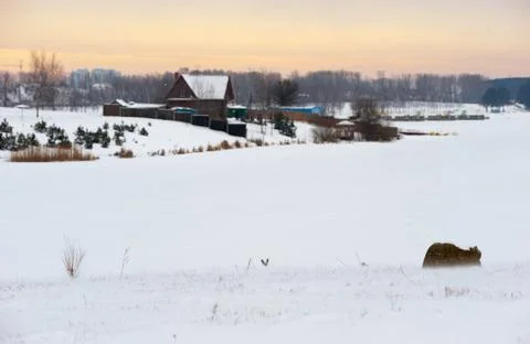 Winter evening Stock Photos