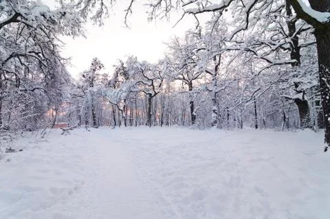 Winter evening 스톡 사진