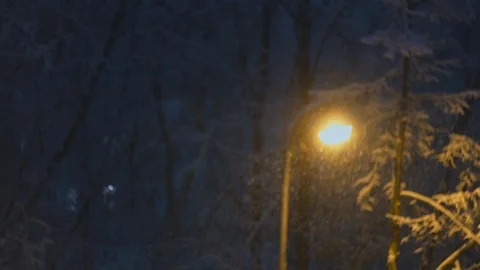 Winter evening scene. Falling snow illuminated by a streetlamp creates visual di 스톡 동영상 103629673