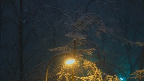 Winter evening scene. Falling snow illuminated by a streetlamp creates visual di 스톡 동영상 103790325