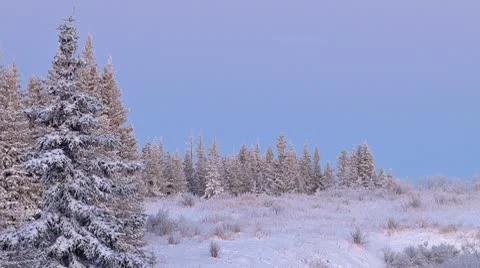 Winter Evening Static Scenic 2 Stock Footage 9026499