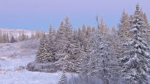 Winter Evening Static Scenic 3 Stock Footage 9026604