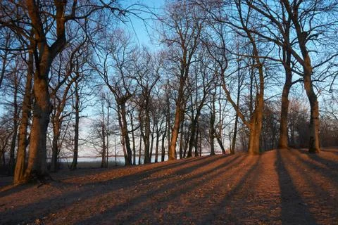 Winter evening sunlight shadows Stock Photos