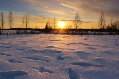 Winter evening twilight. Stock Photos