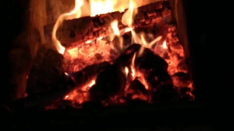 Winter evening by the warm fireplace Stock Footage 171529712