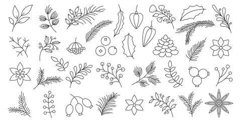 Winter fall berry spruce tree branch leaf line set Illustrazione stock