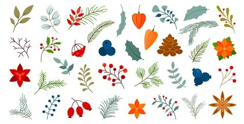 Winter fall berry spruce tree branch leaf flat set Stock Illustration