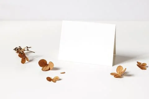 Winter, fall wedding, birthday table composition. Stationery mockup of place 写真素材