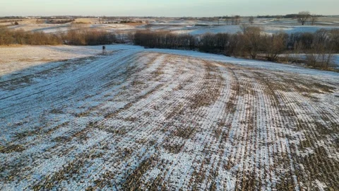 Winter fallow corn field Stock Footage 296425599