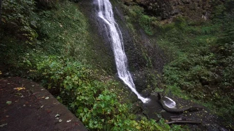 Winter Falls, Silver Falls State Park, Oregon Stock Footage 43721858