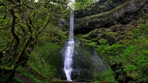 Winter Falls, Silver Falls State Park, Oregon Stock Footage 89784035