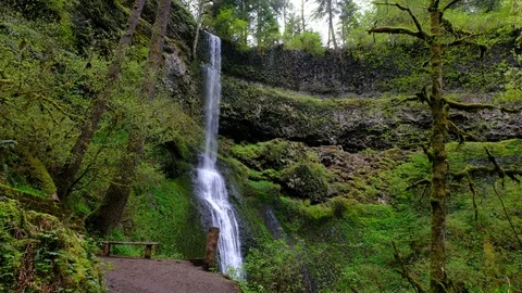 Winter Falls, Silver Falls State Park, Oregon Stock Footage 89784036