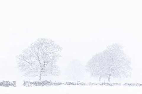 Winter on the farm Stock Photos