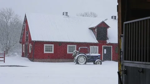 Winter at farm ranch. Snow falling and white covered ground view horse stable Vídeos de archivo 147282215