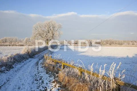 Winter farm track Stock Photos