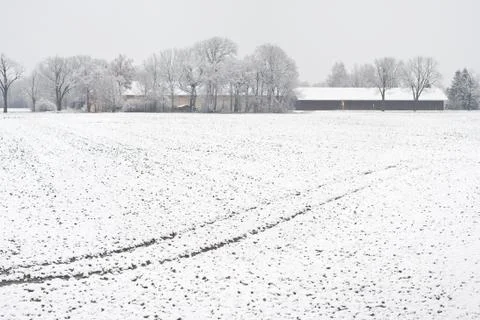 Winter farming Stock Photos
