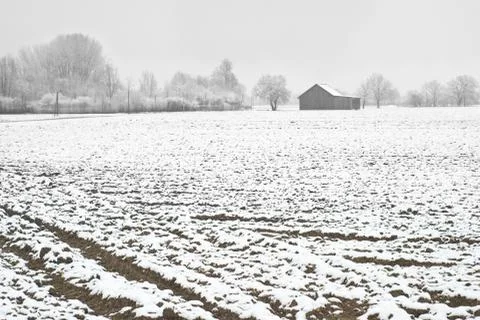 Winter farming Foto stock