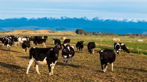Winter Farming Stock Photos