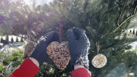Winter feeding of birds Stock Footage 168128828