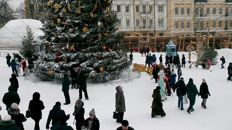 Winter fest Stock Footage 71523183