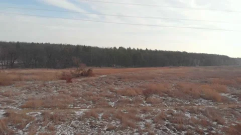 Winter Field And Forest Stock Footage 168925641