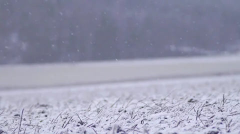 Winter field first snow Stockbeeldmateriaal 33119531