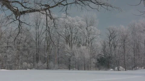 Winter Field Stock Footage 992197