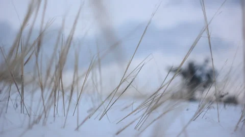 Winter on the field Stock Footage 33300076