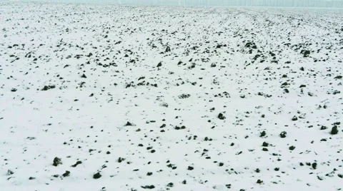 Winter on the field Stock Footage 60645171