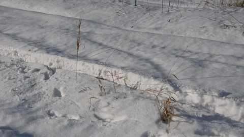 Winter field Stock Footage 103274972