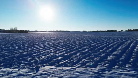 Winter Field 스톡 동영상 321972983