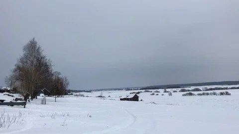 Winter, field, forest, everything is shrouded in snow 스톡 동영상 86219857