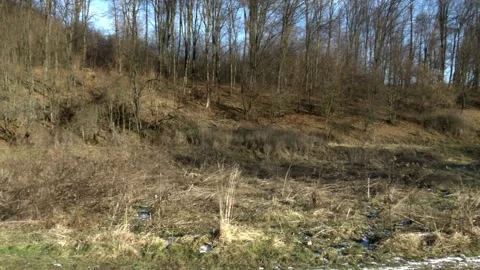 Winter field in Hungary Stock Footage 134068309