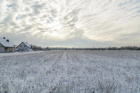 Winter field Stock Photos
