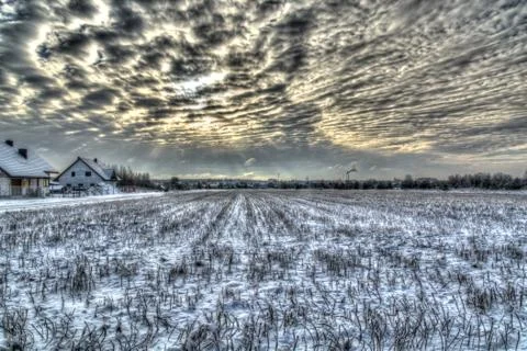 Winter field Stock Photos