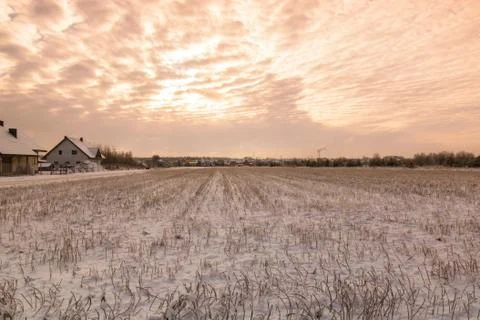 Winter field Stock Photos