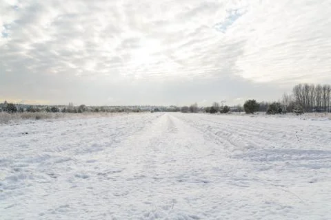 Winter field Stock Photos