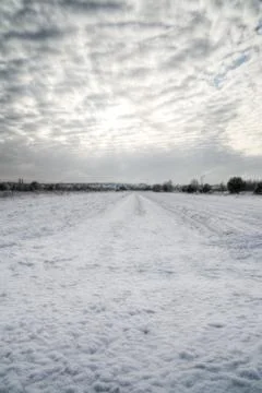Winter field Stock Photos