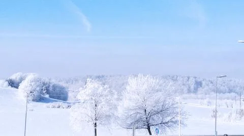 Winter field Stock Photos