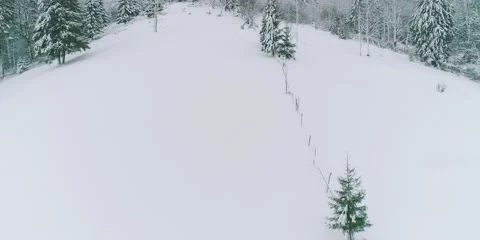 Winter field with snow layer in mountain, forest and green tree Stock Footage 279916976
