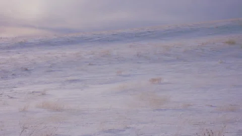 Winter field of snow with sky, 4k Stock Footage 165514980