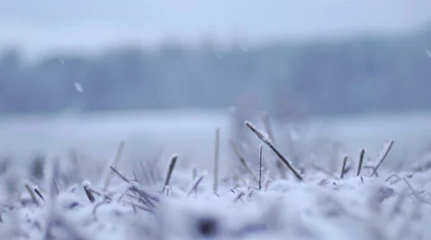 Winter field snowing Stockbeeldmateriaal 33119519