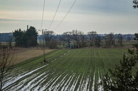 Winter field in time Stock Photos
