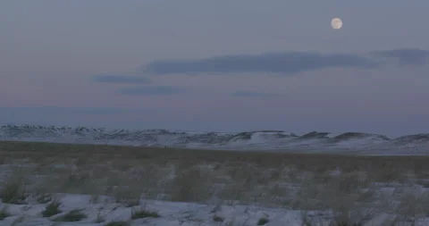 Winter Field Under a Full Moon at Dusk Video stock 332378204