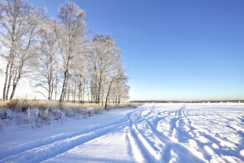 Winter field under Stock Photos
