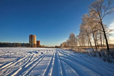 Winter field under Stock Photos